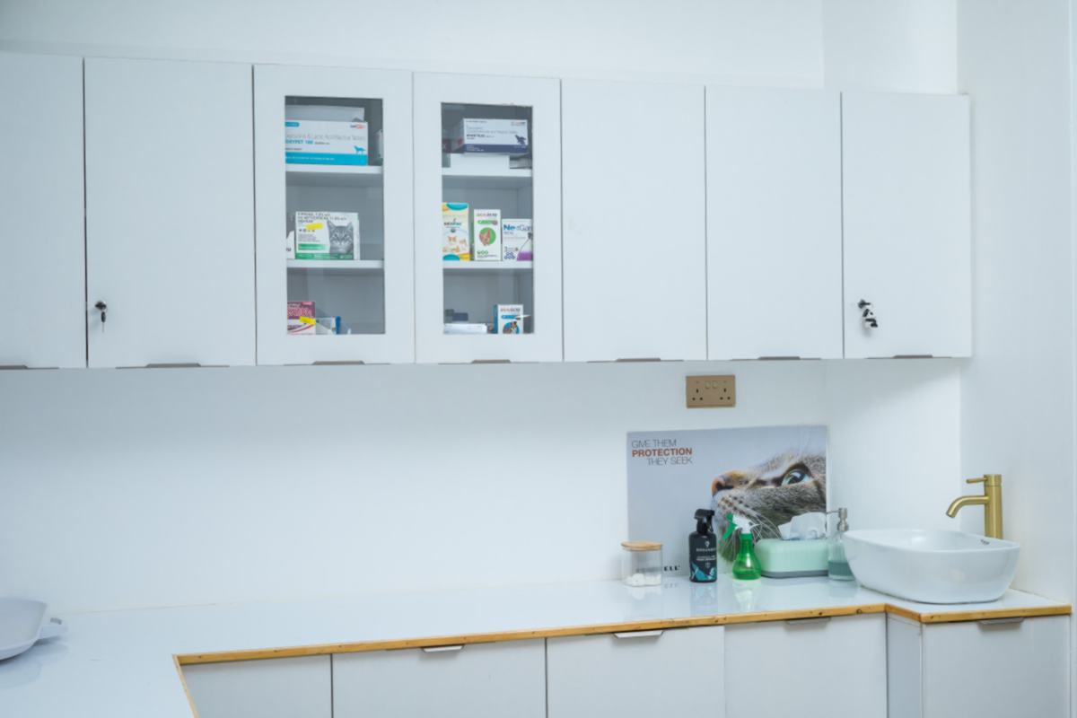 Mobivet Veterinary Clinic gallery photo